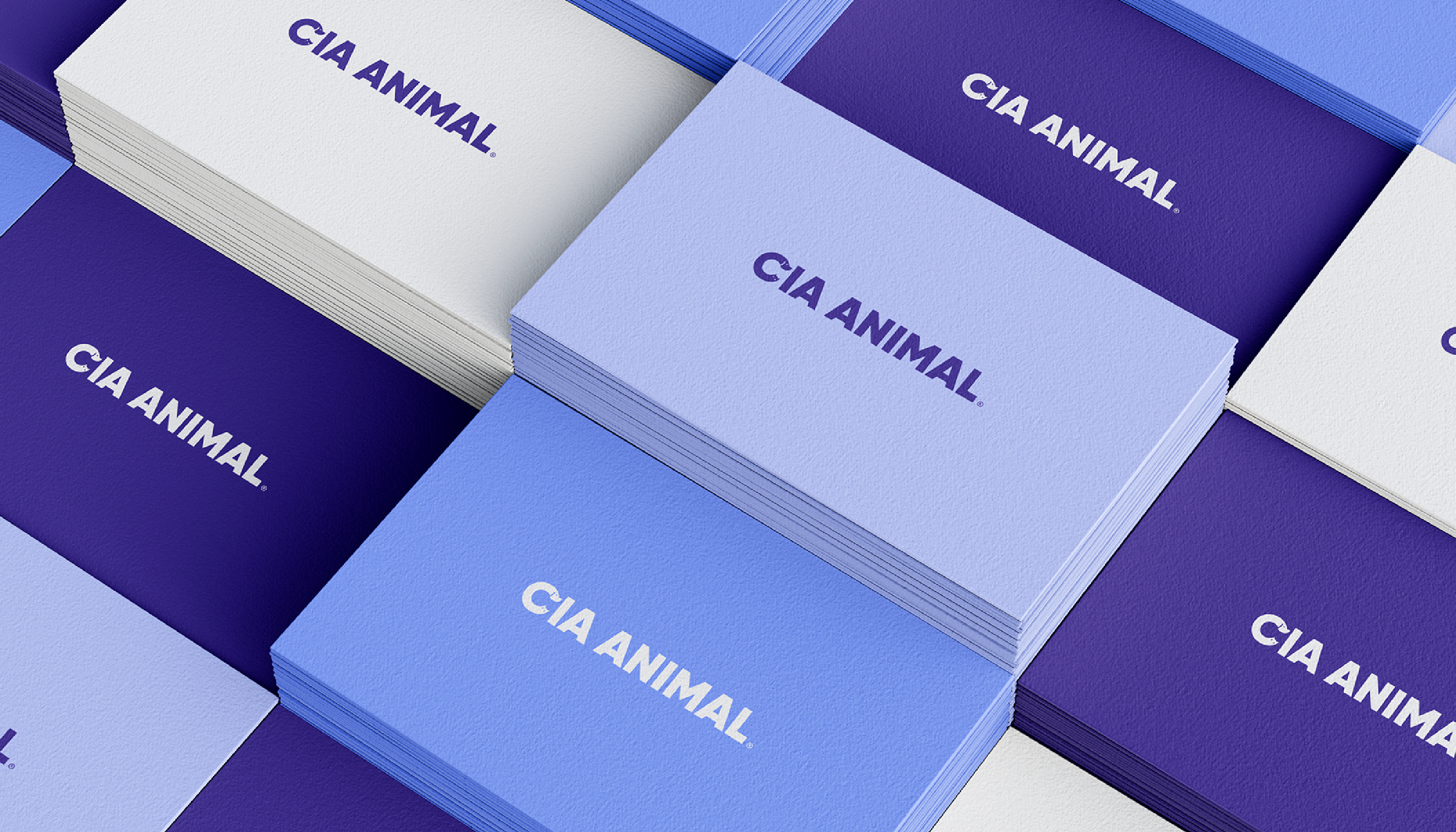 CIA Animal Veterinary Clinic 03
